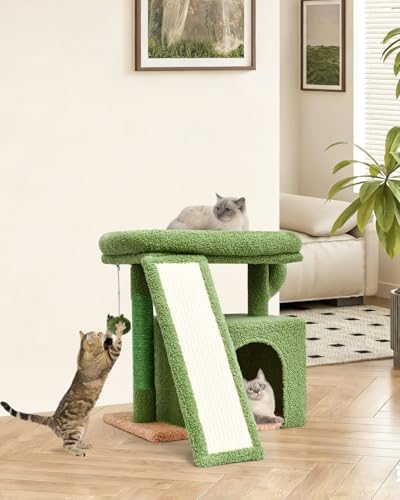 Small Cactus Cat Tree for Indoor Cats, Green Cat Tower with Scratching Post & Board, Unique Cactus Cat House with Perch for Kittens, Stable Condo and Stand (Green) - color: Green