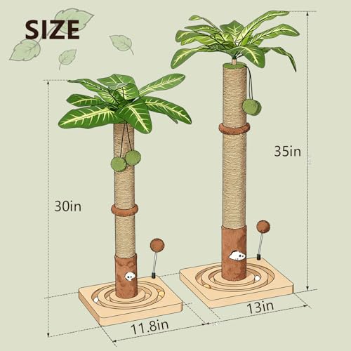 MECOOL Cat Scratching Post Sturdy and Premium Scratch Posts with Hanging Ball and Ball Track Toy Cute Cat Tree 30in for Indoor Kittens - size: 30 inches for Kittens