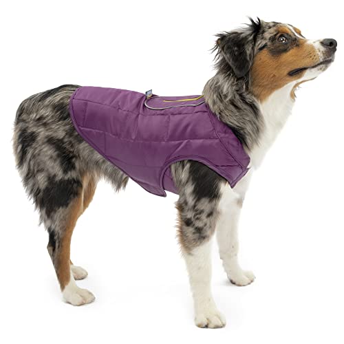 Kurgo Loft Dog Jacket - Reversible Cozy Coat for Outdoor Adventures - Water Resistant - Athletic Fit - Machine Washable Fabric - Reflective Dog Gear - X-Small - Deep Violet - color: Deep Violet/Charcoal, size: Extra Small