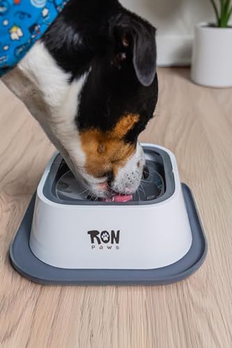 No Spill Dog Water Bowl with Silicone Mat - Spill Proof Slow Drinking Bowl for Home, Car & Travel - Mess-Free Water Bowl for Dogs
