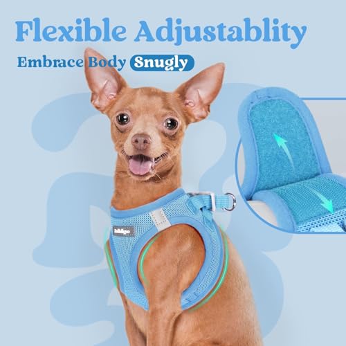 rabbitgoo Small Dog Harness, Step-in Soft Mesh Puppy Vest with Safety Buckle, Breathable Reflective Pet Harness for Extra Small Dogs, Blue XXS - color: Blue, size: Xxs(chest:12.4"-14.2")