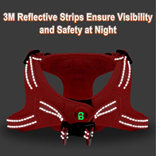 Dog Harness Step in Dog Vest Harness, Reflective Adjustable Puppy No Pull Harness Breathable Soft for Small and Medium Dogs Cats, Red, XS - color: Red, size: X-Small