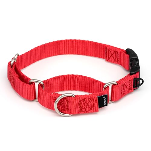 PetSafe Martingale Dog Collar with Quick-Snap Buckle - Small, 3/4 Inch, Red