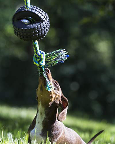 Pet Qwerks X-Tire Ball Dog Toys - Rope Interactive Chew Toy - Medium