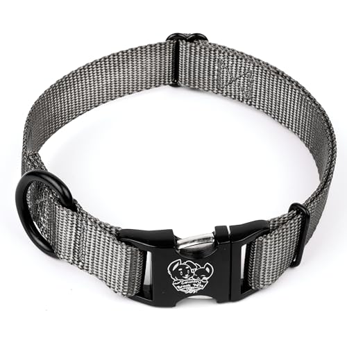 Country Brook Petz - Premium Nylon Dog Collar with Metal Buckle for Small Medium Large Breeds - 10+ Cool Colors (Small, 3/4 Inch, Charcoal) - color: Charcoal, size: Small (Pack of 1)