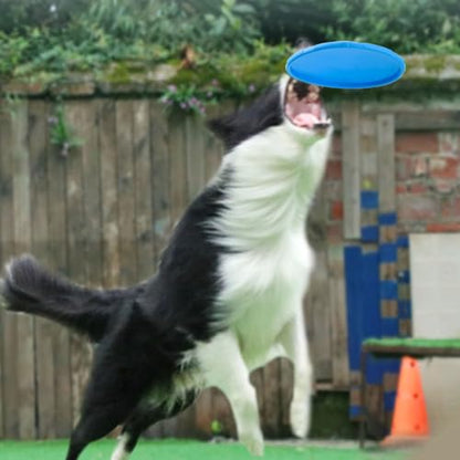 Rubber Flying Discs for Dog Outdoor Exercise Pet Toy with Nonslip Texture Mental