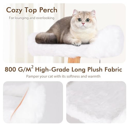 Tangkula Solid Wood Cat Tree, Modern Wooden Cat Tower with Jute Scratching Posts, Perch, Condo, Sisal Rope, Dangling Ball, Soft Long Plush, 66 Inch Tall Cat Tree Tower for Indoor Cats Large Adult - style: Round Condo