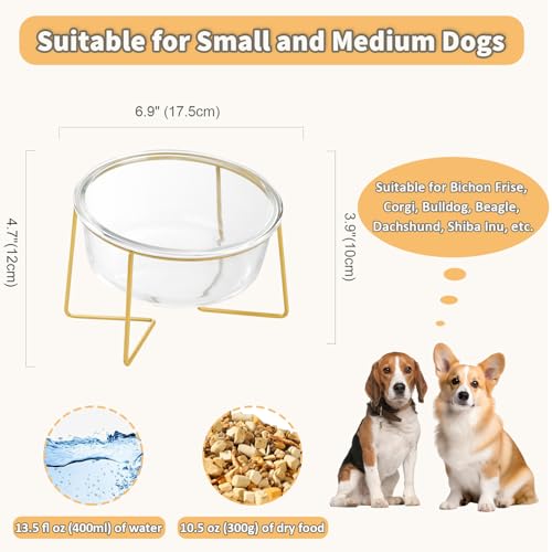 Large Glass Tilted Elevated Cat Dog Bowl Raised Cat Food Water Bowl Dish Pet Comfort Feeding Bowls with Gold Iron Stand - color: Glass, size: Large