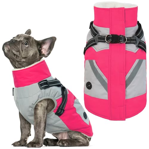 IECOii Dog Winter Coat Waterproof - Rosered, Medium - Dog Coat with Harness Built in for Medium Dogs,Thermal Warm Fleece Lined with Zip Up Cold Weather Jacket,Reflective Snowsuit for Outdoor Hiking - color: Rosered, size: Medium(Chest:20.9 in)