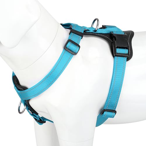 Plutus Pet Adjustable No Pull Dog Harness with Leather Accents, Heavy Duty Reflective Nylon Vest for Training, Hiking, Easy Walk Harness for Small, Medium, Large Dogs (Light Blue, M) - color: Light Blue, size: M