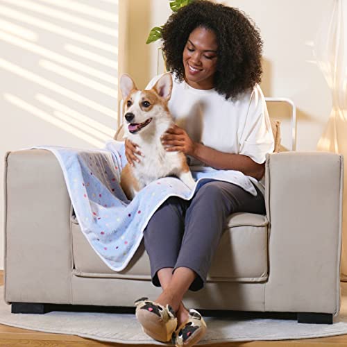1 Pack 3 Blankets Super Soft Cute Dot Pattern Pet Blanket Flannel Throw for Dog Puppy Cat Blue/Purple/Grey Small - color: Blue/Purple/Grey, size: 23x16 inch (Pack of 3)