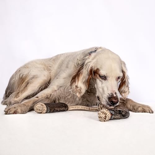 QT Dog Mossy Oak: Water Buffalo Horn & Tug Dog Chew - 34" Slip-Knot Natural Cotton Rope, Pet Toy, No Preservatives, Horn, Long-Lasting, Combines Play-Chewing - style: 34"