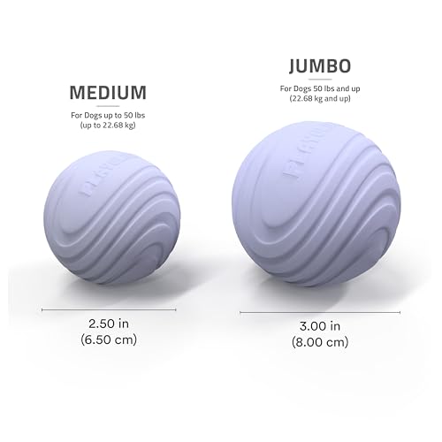 Playology Dog Toys | Dual Layer Ball Durable Chew Toy for Tough Chewers | Lamb Scented Medium Dog Toy | Chew Toys for Dogs - size: Medium, style: Lamb