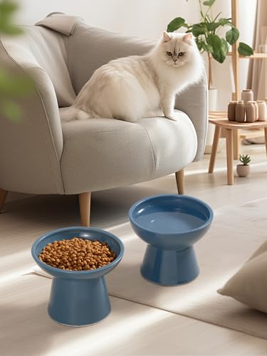 LoeJan Elevated Cat Food and Water Bowls Set, Extra Wide and Raised Ceramic Feeder, Anti-Vomit Whisker-Free Pressure Feeding Bowl for Kittens Adult Small Dogs (Deep Blue, Food Bowl) - color: Deep Blue, size: Single (Food Bowl)