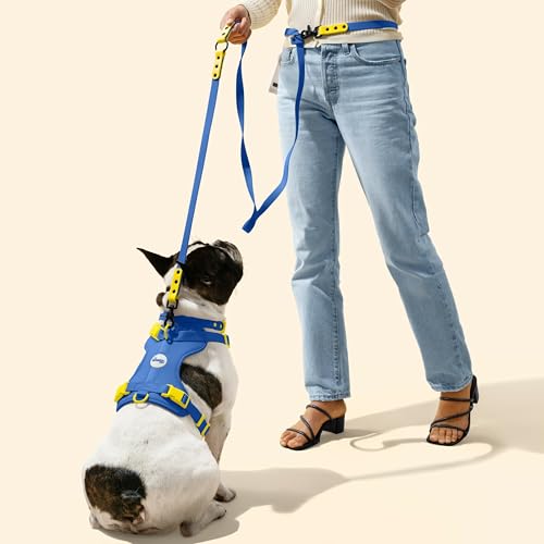 HNS1000C Arlo Extra Small Adjustable Soft Padded No Pull Pet Harness with 3 Buckles and 3 Leash Clips, Curaçao - color: Dark Blue, size: X-Small (Chest: 11.8 - 17")