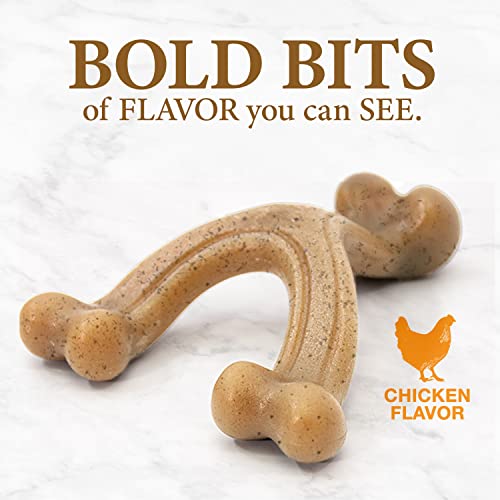 Nylabone Gourmet Style Wishbone Strong Chew Toy for Dogs, Chicken Flavor, Large - Up to 50 lbs, 1 Count - size: Large