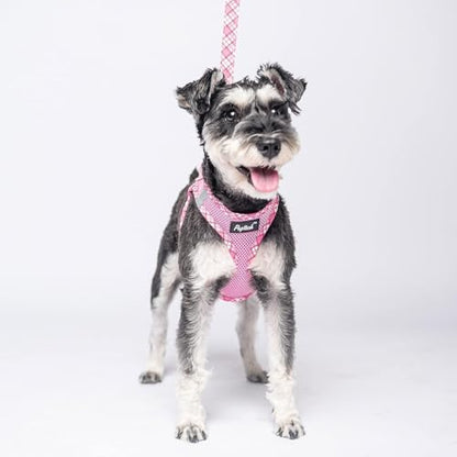 PUPTECK Dog Harness and Leash Set for Small Medium Dogs No Pull Step-in Soft Mesh Puppy Cat Vest Harnesses Reflective at Night, Pink XS - color: #1 Pink(Basic Mesh), size: XS(CHEST 13"-14.5", 3-9 lbs)