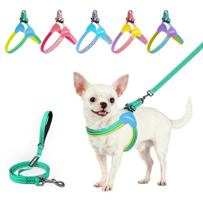 Kazazoo No Pull Small Dog Harness and Leash Set, Adjustable Puppy Soft Vest Harness with Breathable Mesh Padded, Reflective Lightweight Harness with Buckle for Extra Small Medium Dogs, Green XS - color: Green, size: XS