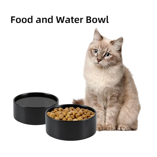 Havniva 5.1” Dog Bowl Ceramic Dog Food and Water Bowl Set of 2, Durable Dog Water Bowl with Non-Slip Rubber Base Large Capacity Feeding Dishes for Small Dogs - color: Matte Black, size: 5.1 Inch