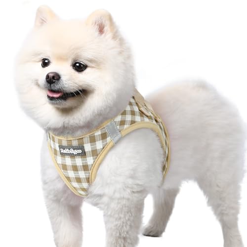 rabbitgoo Small Dog Harness, Step-in Soft Mesh Puppy Vest with Safety Buckle, Breathable Reflective Pet Harness for Small Sized Dogs, Beige Plaid S - color: Beige Plaid, size: S(chest:15.1"-16.5")