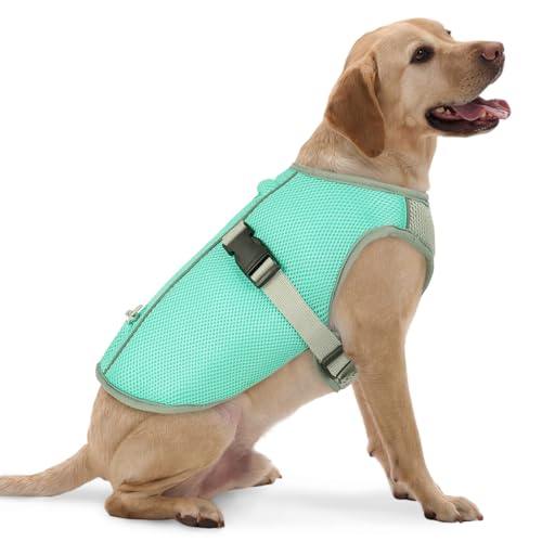 FUAMEY Cooling Dog Shirt for Hot Weather Walks, Breathable Cooling Jacket for Puppy Outdoor Play, Easy On Off Summer Dogs Vest with Adjustable Buckle, Harness Hole, Green, XL - color: Seafoam Green, size: X-Large