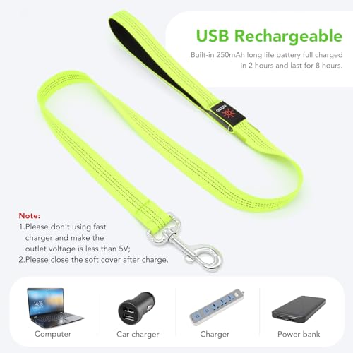 Colaseeme Light Up Dog Leash, LED Pet Leashes USB Rechargeable, Glow Safety Dogs Lights at Night (4FT,Green-New) - color: Green (New), size: 4FT