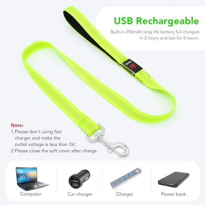 Colaseeme Light Up Dog Leash, LED Pet Leashes USB Rechargeable, Glow Safety Dogs Lights at Night (4FT,Green-New) - color: Green (New), size: 4FT