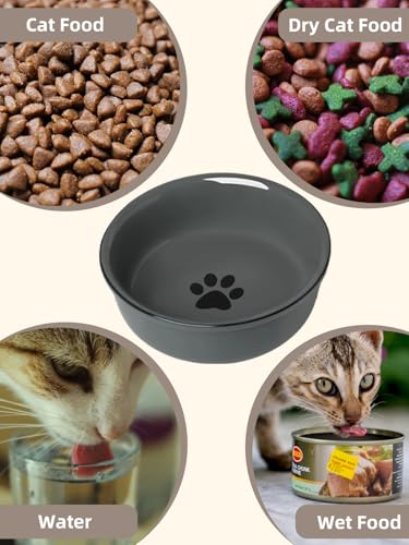 GDCZ Ceramics Raised Cat Bowls with Heighten Metal Stand,15 Ounces (Grey) - color: Grey