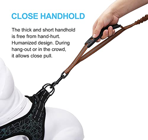 6FT Highly Reflective Heavy Duty Elastic Bungee Medium and Large Dog Leash Shock Absorbing with Comfortable Padded Handle and Traffic Handle Suitable for Training - color: Chocolate Brown