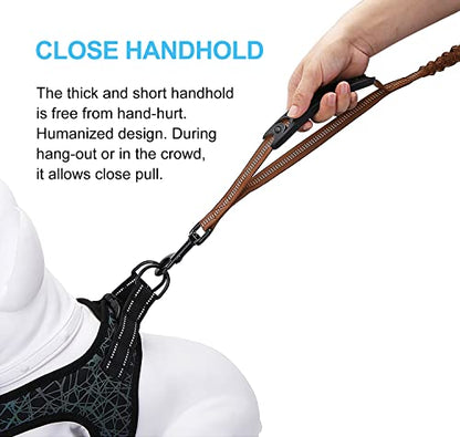 6FT Highly Reflective Heavy Duty Elastic Bungee Medium and Large Dog Leash Shock Absorbing with Comfortable Padded Handle and Traffic Handle Suitable for Training - color: Chocolate Brown