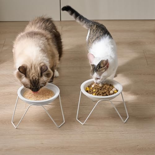 CEEFU 2-Pack Ceramic Raised Cat Bowls for Food and Water, Elevated Pet Dishes Bowls with Stand, Cats and Small Dogs, Dishwasher Safe