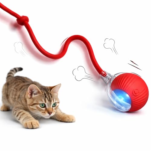 Interactive Cat Toy for Indoor Cats, Smart Motion-Activated Rolling Ball with LED Lights, USB Rechargeable Cat Enrichment Toy for Bored Adult Cats & Kittens to Keep Them Busy (Red)