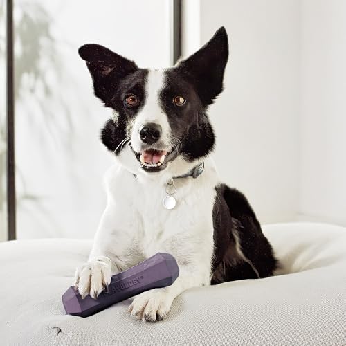 Playology Dog Toys | Squeaky Chew Stick for Large Dogs | Bacon Scented Jumbo Fetch Toy | Squeaky Dog Chew Toy - size: Jumbo, style: Bacon
