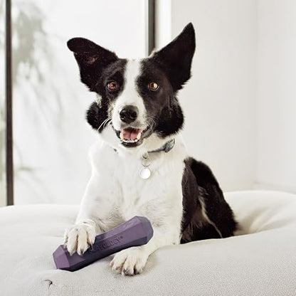 Playology Dog Toys | Squeaky Chew Stick for Large Dogs | Bacon Scented Jumbo Fetch Toy | Squeaky Dog Chew Toy - size: Jumbo, style: Bacon