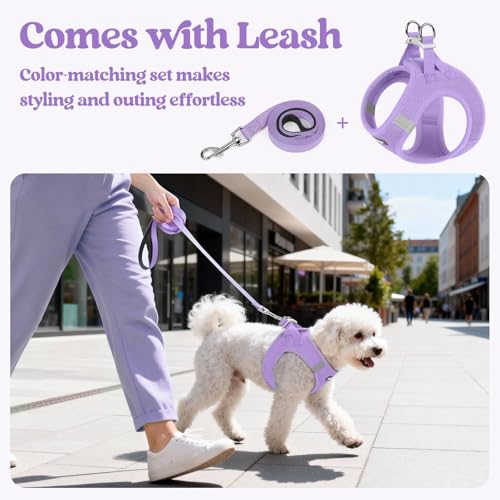 rabbitgoo Dog Harness Medium Sized and Leash Set, Step in Soft Light Puppy Vest, Breathable Mesh Pet Harness, Reflective for Safe Easy Walking, Light Purple XXL - color: Light Purple, size: Xxl (chest: 21.6 - 23.7")