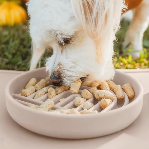 Should We Go? Slow Feeder for Dogs, The Slowdown Bowl Silicone Slow Eating Mealtime Solution with Modern Lick Mat Design, Reduces Gulping, Fits 1 Cup, 6” Across x 1.25” Tall, Small-Tan - color: Tan - Rainbow Design, size: Small (6” Across x 1.25” Tall)