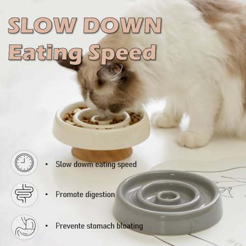 Ceramic Cat Slow Feeder, Raised Slow Feeder Cat Bowl, Anti Vomiting and Whisker Friendly Kitty Dish, Elevated Puppy Kitten Food Bowl for Dry and Wet Food (White) - color: White