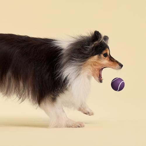 Playology Dog Toys | Squeaky Chew Ball - Bouncy Durable Floating Fetch Ball for Dogs , Value 3-Pack | Small Bacon Scented Toy - Easy to Clean and Made from Non Toxic Materials - size: Small (VALUE 3-Pack), style: Bacon
