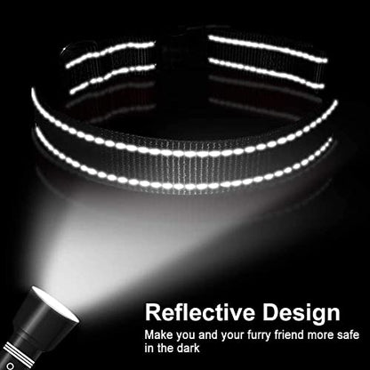 Reflective Dog Collar, Sturdy Nylon Collars for Puppy and Extra Small Girl and Boy Dogs, Adjustable Dog Collar with Quick Release Buckle,Black,3/8" Width - color: Black, size: X-Small (Pack of 1)