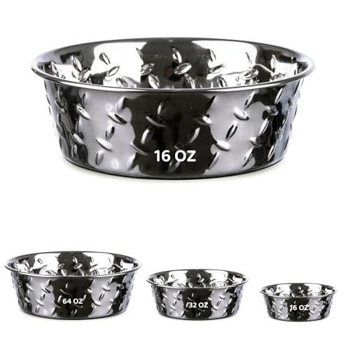 Palz&Co Stainless Steel Platinum Embossed Dog Bowl with Non Slip, No Spill Bottom - Food & Water Dish for Dog, Cat, Small Animals, Dishwasher Safe (Small 16 oz) - size: Sm 16 oz