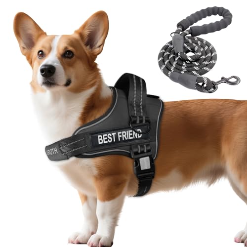 AUROTH Dog Harness and Leash Set, Soft Padded Service Dog Vest with 5.25FT Dog Leash, No Choke, Easy On Pet Vest, Adjustable Reflective No Pull Dog Harness Small Sized Dog, Easy Walking and Training - color: Black, size: Small