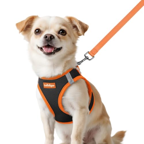 rabbitgoo Dog Harness Small Sized and Leash Set, Step-in Breathable Pet Harness, Soft Walking Reflective Puppy Vest for Small Dogs, Black & Orange, XXS - color: Black & Orange, size: XXS (Chest: 12.4 - 14.2")
