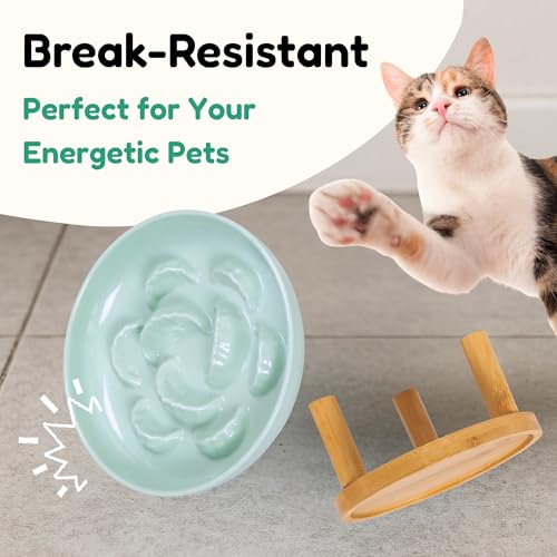 Slow Feeder Bowl, 6.3″ Elevated Cat Bowl with Stand, Melamine Wide Shallow Food Bowl, Whisker-Friendly Raised Plate, Wet Food Feeder for Slow Eating (Green) - color: Green, size: 1 Pack with Stand - 6.3''W x 1.5''H