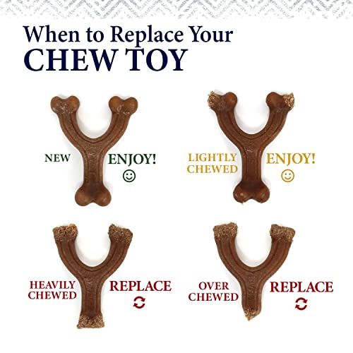 Nylabone Gourmet Style Wishbone Strong Chew Toy for Dogs, Chicken Flavor, Large - Up to 50 lbs, 1 Count - size: Large