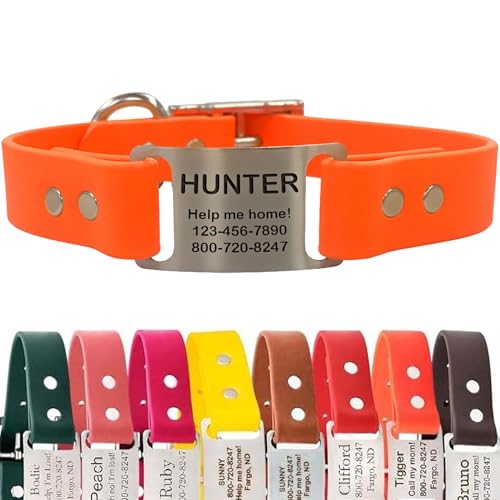 dogIDs Personalized Dog Collar – ScruffTag Custom Waterproof Biothane Dog Collar with Laser-Engraved Name, Durable & Odor-Resistant – USA Made | Blaze Orange, 1 in x 16 in (Fits Neck Sizes 14-18 in) - color: Blaze Orange, size: 1 in x 16 in (Fits Neck Siz