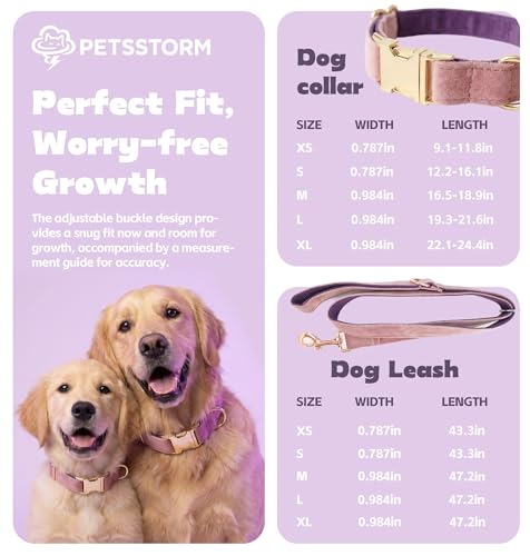 Dog Collar Personalized with Name Engraved - Light Gold Quick Release Buckle, Soft Velvet Lined, Comfortable Gift for Small, Medium, Large Dogs - color: Multicolor Velvet