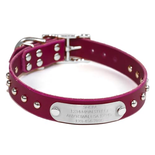 Handmade Studded Bridle Leather Dog Collar, Silver Tone Hardware and Stainless Steel Nameplate (Magenta) - color: Magenta