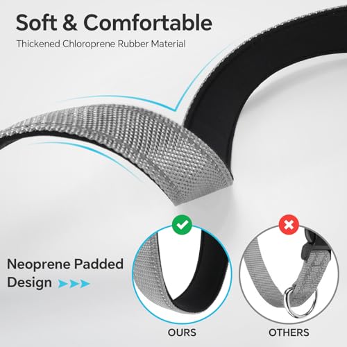 Reflective Dog Collar with Quick Release Buckle - Metal Ring - Adjustable Soft Neoprene Padded Basic Dog Collar for Small Medium Large Dogs (LightGray, Medium :Width 1",Neck 13.8-19.6") - color: Lightgray, size: Medium