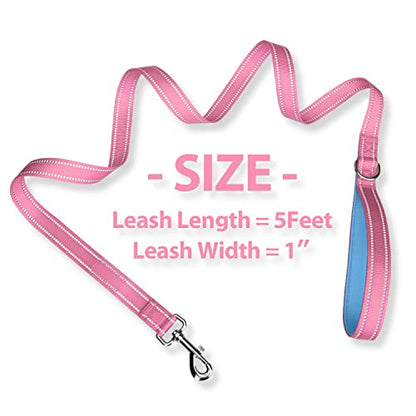 PHOEPET 5 Feet Dog Leash - Dual-Side Reflective - Soft Padded Handle - Fit for Walking, Training or Exploring Hiking, Camping (Baby Pink + Blue Base) - color: Baby Pink + Blue Base