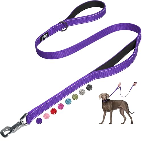 Fida 4 FT Heavy Duty Dog Leash with 2 Comfortable Padded Handles, Traffic Handle & Advanced Easy Snap Hook, Reflective Walking Lead for Large, Medium & Small Breed Dogs, Purple - color: Purple, size: 4 Feet (Pack of 1)